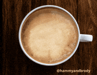 Good Morning Dog GIF by HammyandBrody
