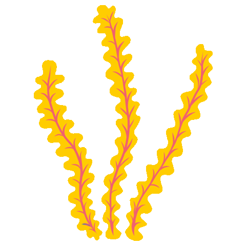 Plant Based Vegan Sticker by Vevolution