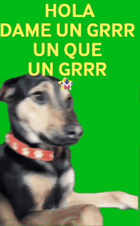 Humor Familia GIF by Murcianys LLC