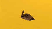 Art Omg GIF by School of Computing, Engineering and Digital Technologies
