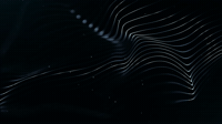 lines