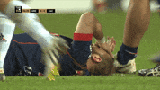 sick fc grenoble GIF by FCG Rugby