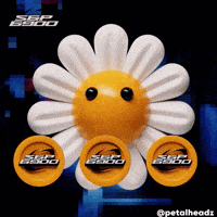 3D Flower GIF by Evan Hilton