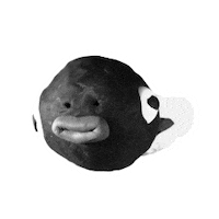 samkinhang macao sit-up munganimation samkinhang Sticker