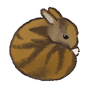 Rabbit Yes Sticker