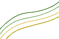 Green And Gold Design Sticker by Baylor University