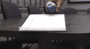 san francisco news GIF