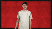 Werder Bremen Hello GIF by Bundesliga