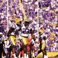 Death Valley Win GIF by LSU Tigers