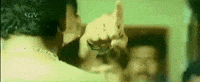 Boss Devil GIF