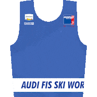 Plandecorones Sticker by SkiWorldCup Kronplatz