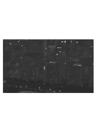 Artist Korea Sticker by OPCD