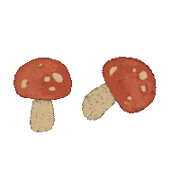 Fall Autumn Sticker