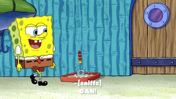 season 9 episode 6 GIF by SpongeBob SquarePants