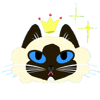 Cat Stars Sticker by Stana_