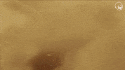 Timothee Chalamet Ages Ago GIF by Eternal Family