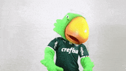 valentines day please GIF by SE Palmeiras