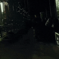 Ec GIF