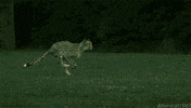slow motion GIF