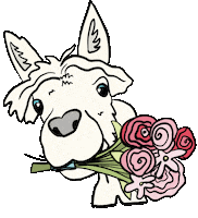 Llama Sticker by Your Alpaca Cottage