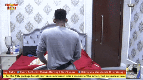 Sexy Bbnaija GIF by Big Brother Naija