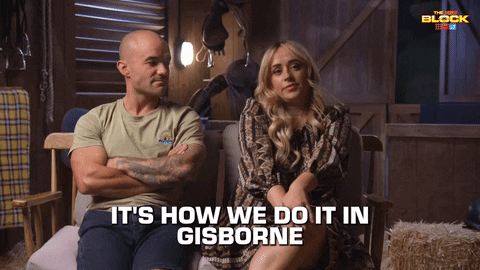Renovate Channel 9 GIF by The Block