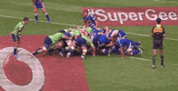 rugby GIF