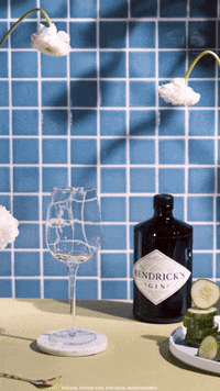 Weekend Drinks GIF by HENDRICK'S GIN