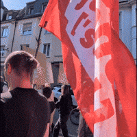 Flag Demo GIF by Die Linke Schwelm