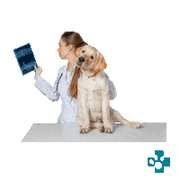 Vet Sticker by Europeanpetpharmacy