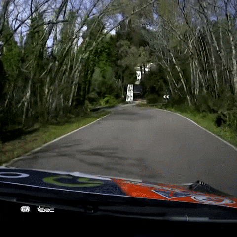 Car Crash Exit GIF by FIA European Rally Championship