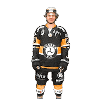 Hockey Fuessen Sticker by EV Füssen