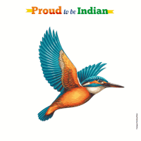 kingfisherworld independence day kingfisher GIF