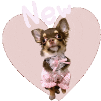 ロナバニ Sticker