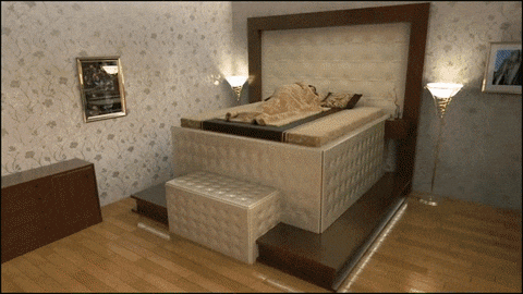 survival aka GIF