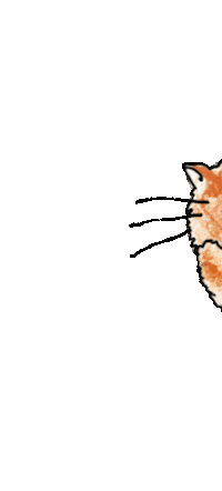 Pawsup Sticker by CHAGEE