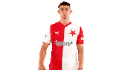 Football Soccer Sticker by SK Slavia Praha