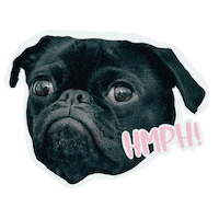 Best Friend Yes Sticker