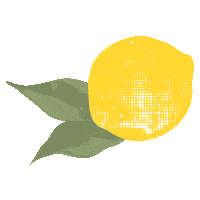 Summer Lemon Sticker by Soda Zitron