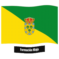 Comunidad De Madrid Bandera Sticker by Formación Ninja