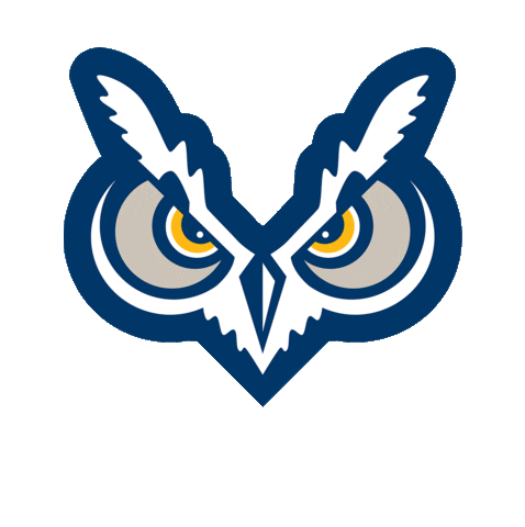 Game Time Owls Sticker by Oregon Tech Athletics