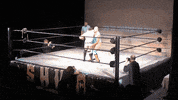 SHWAWrestling wrestling yas york suplex GIF