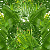 GlobalBrandsHn  GIF