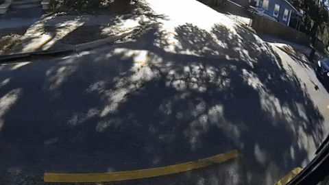 matthewapthorp giphyupload GIF