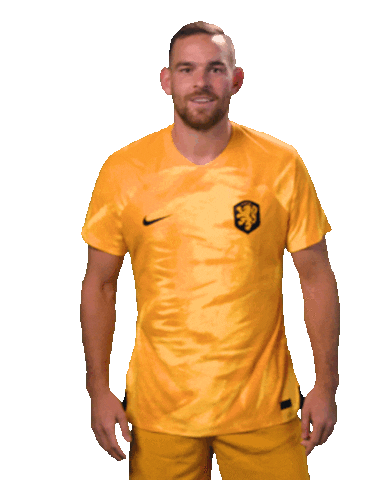 Janssen Fifaworldcup Sticker by OnsOranje