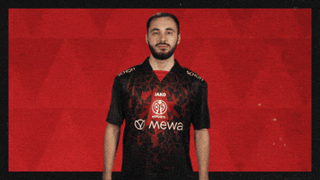 Mainz 05 Hello GIF by Bundesliga