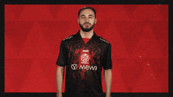 Mainz 05 Football GIF by Bundesliga