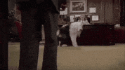 Gaelic Manx GIF by Culture Vannin