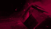 savages GIF by RØYLS