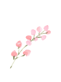stfrock pink flower flowers rose Sticker